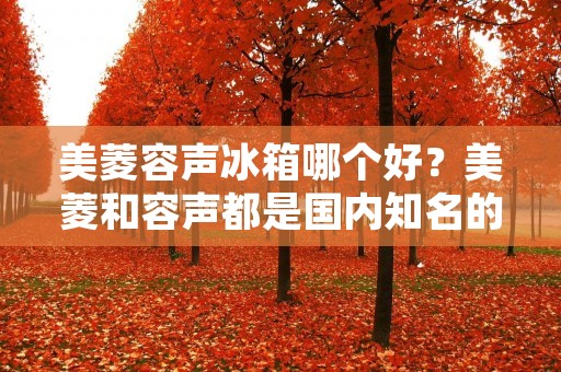 美菱容声冰箱哪个好?美菱和容声都是国内知名的家电品牌,它们的冰箱产品在市场上也备受消费者的青睐。那么,在这两个品牌中,哪一个更加值得购买呢?下面,我们就来一一比较它们的产品特点和优缺点。 美菱容声冰箱哪个好?美菱和容声都是国内知名的家电品牌,它们的冰箱产品在市场上也备受消费者的青睐。那么,在这两个品牌中,哪一个更加值得购买呢?下面,我们就来一一比较它们的产品特点和优缺点。