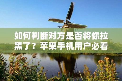 如何判断对方是否将你拉黑了?苹果手机用户必看!