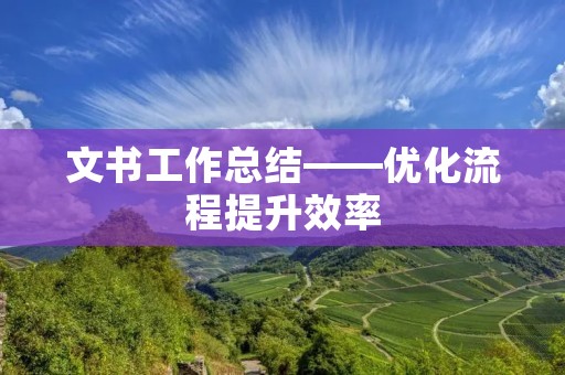 文书工作总结——优化流程提升效率