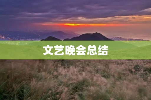 文艺晚会总结:用艺术点亮生活