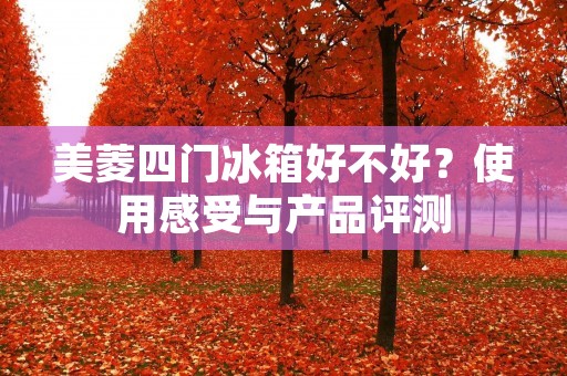 美菱四门冰箱好不好？使用感受与产品评测