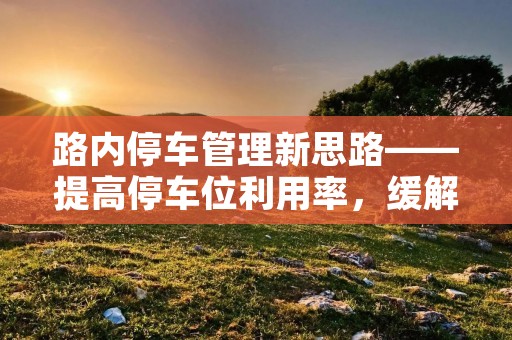 路内停车管理新思路——提高停车位利用率，缓解城市停车难题