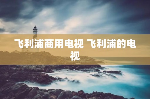 飞利浦商用电视 飞利浦的电视