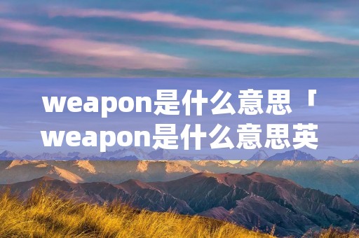 weapon是什么意思「weapon是什么意思英语」