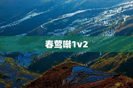 春莺啭1v2:当代音响技术的巅峰之作