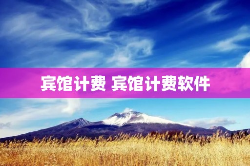 宾馆计费 宾馆计费软件