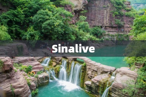 Sinalive:让直播变得更加简单易用 Sinalive:让直播变得更加简单易用