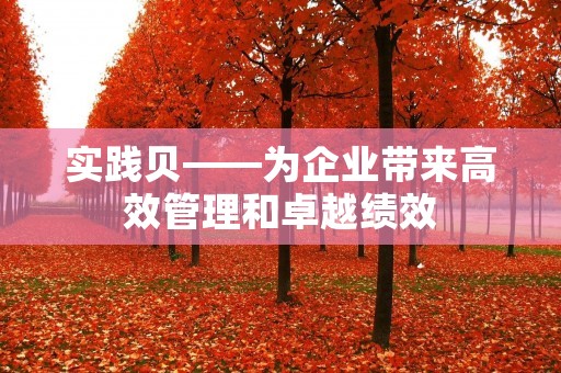 实践贝——为企业带来高效管理和卓越绩效