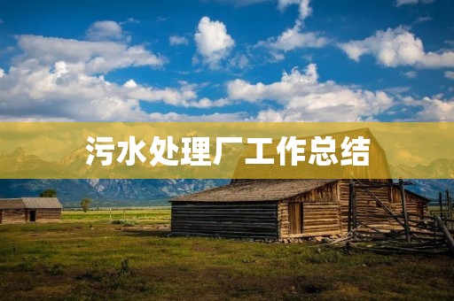 污水处理厂工作总结