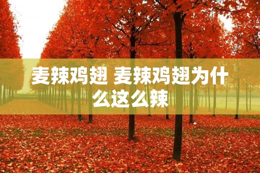 麦辣鸡翅 麦辣鸡翅为什么这么辣