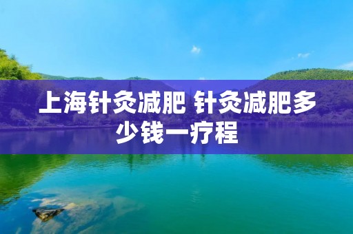 上海针灸减肥 针灸减肥多少钱一疗程