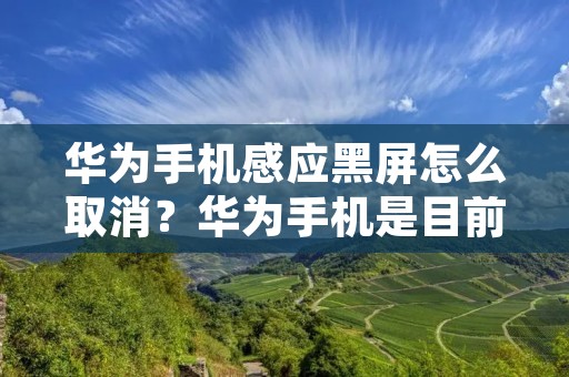 华为手机感应黑屏怎么取消?华为手机是目前市场上非常受欢迎的品牌之一,它的性能和功能都非常强大,让人们爱不释手。但是,有些用户会遇到一个问题:手机感应黑屏,这该怎么办呢?在这篇文章中,我们将详细介绍华为手机感应黑屏的解决方法,帮助大家轻松解决这一问题。