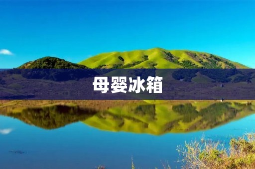 母婴冰箱：为宝宝的健康呵护