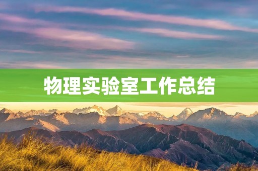 物理实验室工作总结