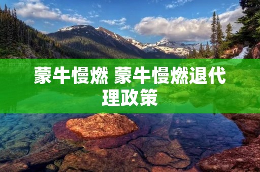 蒙牛慢燃 蒙牛慢燃退代理政策