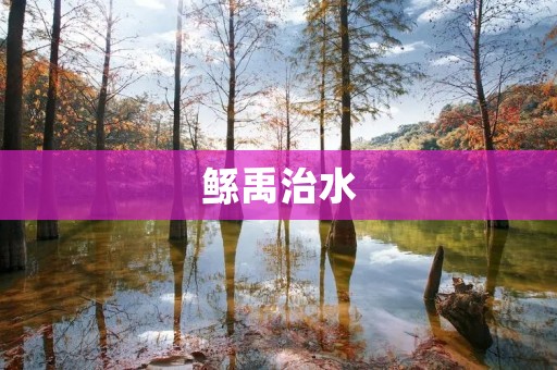 鲧禹治水:中国古代水利工程的奇迹 鲧禹治水:中国古代水利工程的奇迹