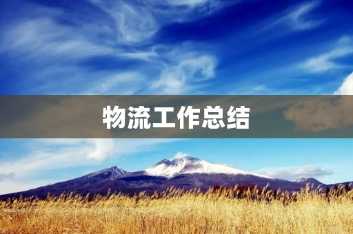 物流工作总结:优化流程 提升效率