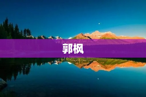 郭枫：一位致力于科技创新的企业家