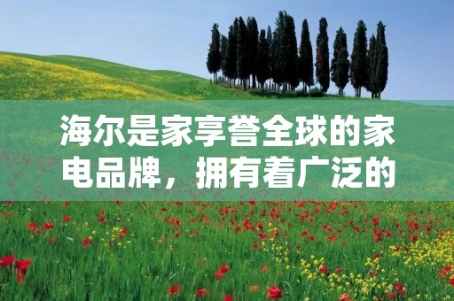 海尔是家享誉全球的家电品牌，拥有着广泛的产品线。其中，海尔冰箱一直是众多消费者心目中的首选。在众多的海尔冰箱中，目前最好的海尔冰箱也备受消费者的青睐。那么，这款海尔冰箱到底有何卓越之处呢？下面，就让我们一起来详细了解一下。