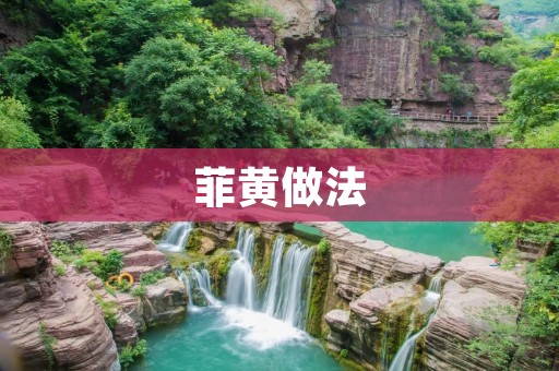 菲黄做法：让你的厨艺更上一层楼