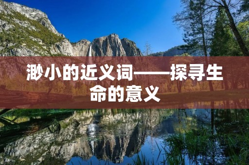 渺小的近义词——探寻生命的意义