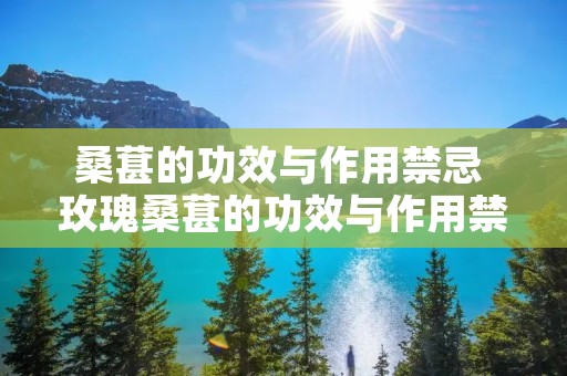 桑葚的功效与作用禁忌 玫瑰桑葚的功效与作用禁忌