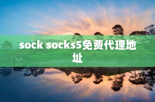 sock socks5免费代理地址 sock socks5免费代理地址