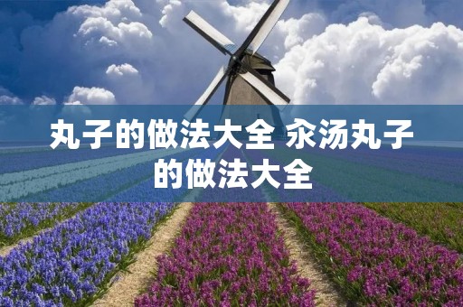 丸子的做法大全 汆汤丸子的做法大全