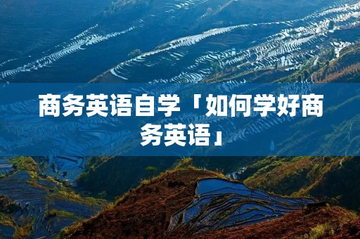 商务英语自学「如何学好商务英语」