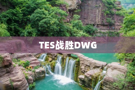 TES战胜DWG:LPL的强者再次证明自己 TES战胜DWG:LPL的强者再次证明自己