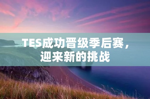 TES成功晋级季后赛，迎来新的挑战