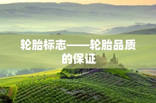 轮胎标志——轮胎品质的保证