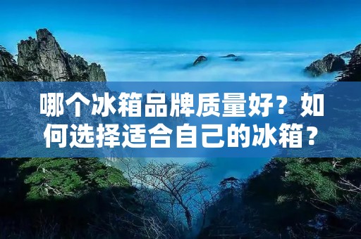 哪个冰箱品牌质量好？如何选择适合自己的冰箱？