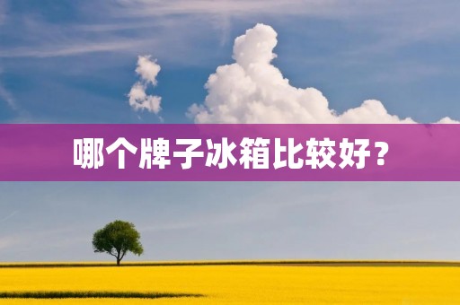 哪个牌子冰箱比较好? 哪个牌子冰箱比较好?
