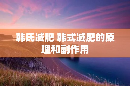 韩氏减肥 韩式减肥的原理和副作用
