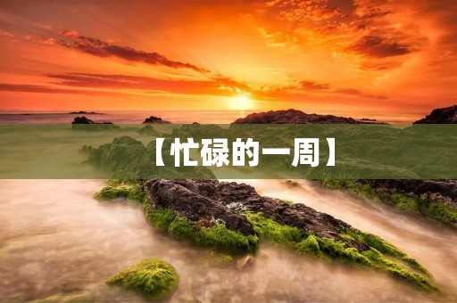 【忙碌的一周】