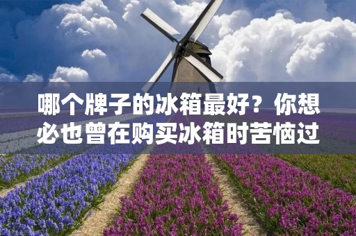 哪个牌子的冰箱最好？你想必也曾在购买冰箱时苦恼过这个问题。毕竟，冰箱是家庭中不可或缺的电器之一，选择一款性能稳定、使用寿命长的冰箱对于我们来说非常重要。那么，哪个牌子的冰箱最好呢？下面就为大家详细介绍几个知名品牌的冰箱性能和特点。