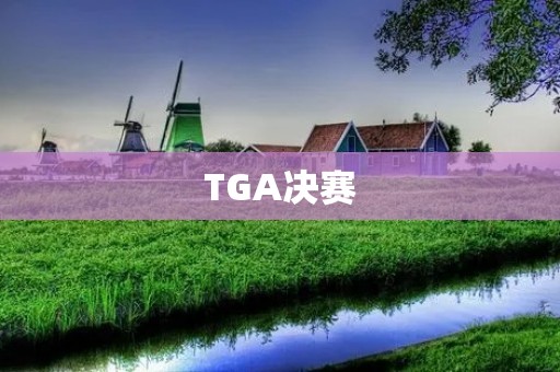 TGA决赛：电竞行业的盛宴