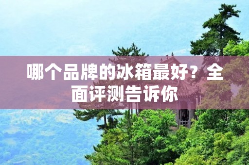 哪个品牌的冰箱最好?全面评测告诉你 哪个品牌的冰箱最好?全面评测告诉你