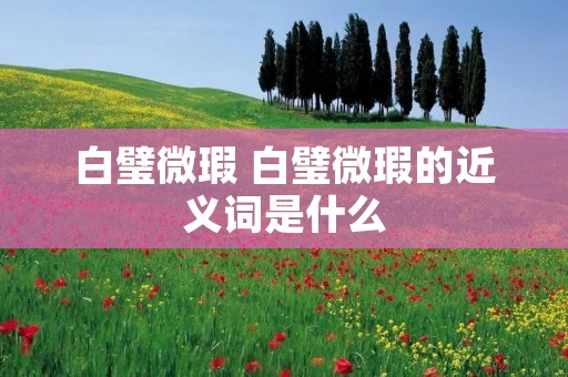 白璧微瑕 白璧微瑕的近义词是什么
