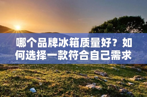 哪个品牌冰箱质量好?如何选择一款符合自己需求的冰箱? 哪个品牌冰箱质量好?如何选择一款符合自己需求的冰箱?