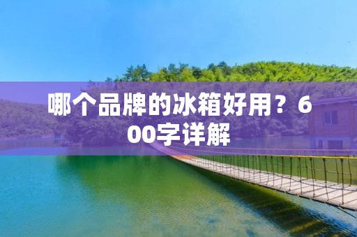 哪个品牌的冰箱好用?600字详解 哪个品牌的冰箱好用?600字详解