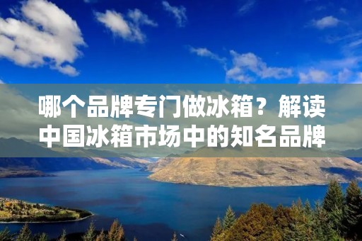 哪个品牌专门做冰箱？解读中国冰箱市场中的知名品牌