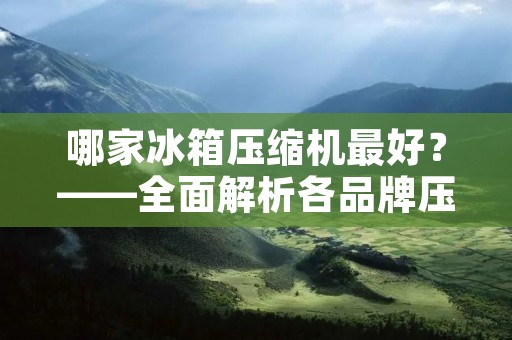 哪家冰箱压缩机最好？——全面解析各品牌压缩机的优缺点
