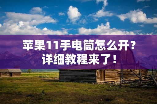 苹果11手电筒怎么开?详细教程来了!