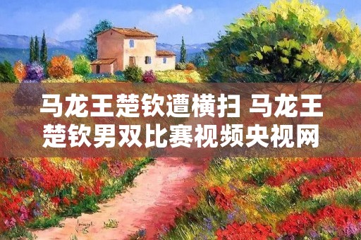 马龙王楚钦遭横扫 马龙王楚钦男双比赛视频央视网