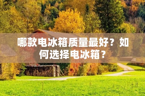 哪款电冰箱质量最好？如何选择电冰箱？