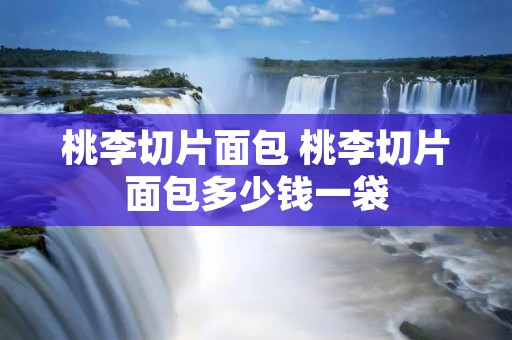 桃李切片面包 桃李切片面包多少钱一袋 桃李切片面包 桃李切片面包多少钱一袋