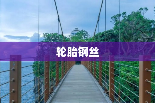 轮胎钢丝：从选材到应用的全面解析
