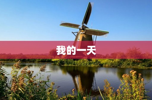 我的一天